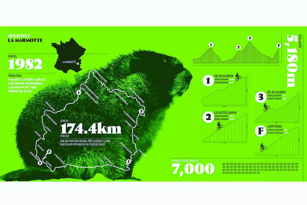 Books Infographic Guide To Cycling 4 Books Infographic Guide To Cycling