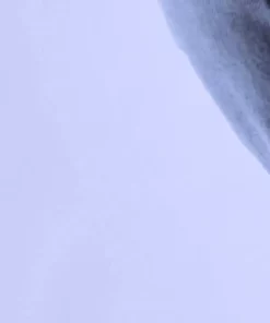 Condor + KPP Notes Collection Socks