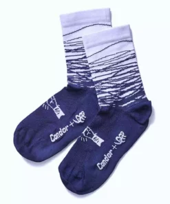 Condor + KPP Notes Collection Socks