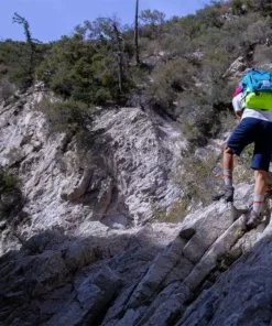 Swrve Transverse Regular Shorts